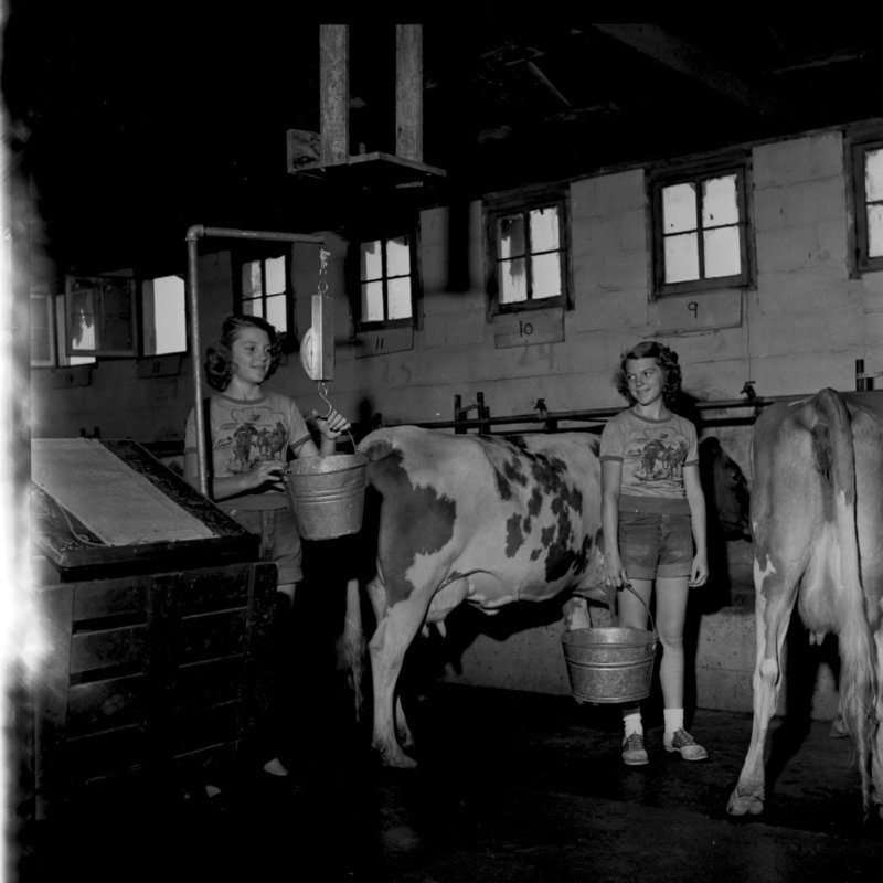 024_weigh the milk. (undated).jpg